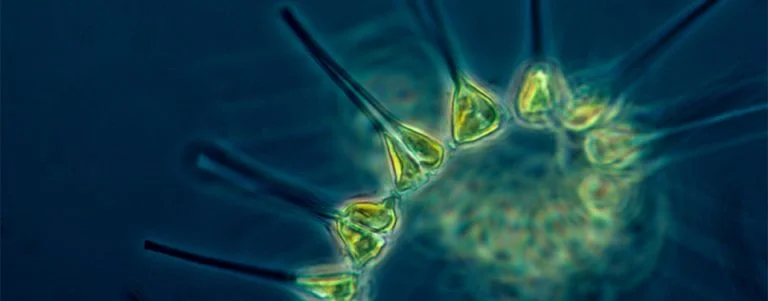 Source: NOAA National Ocean Service