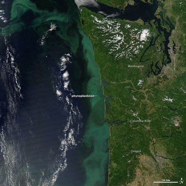 Source: NASA Earth Observatory