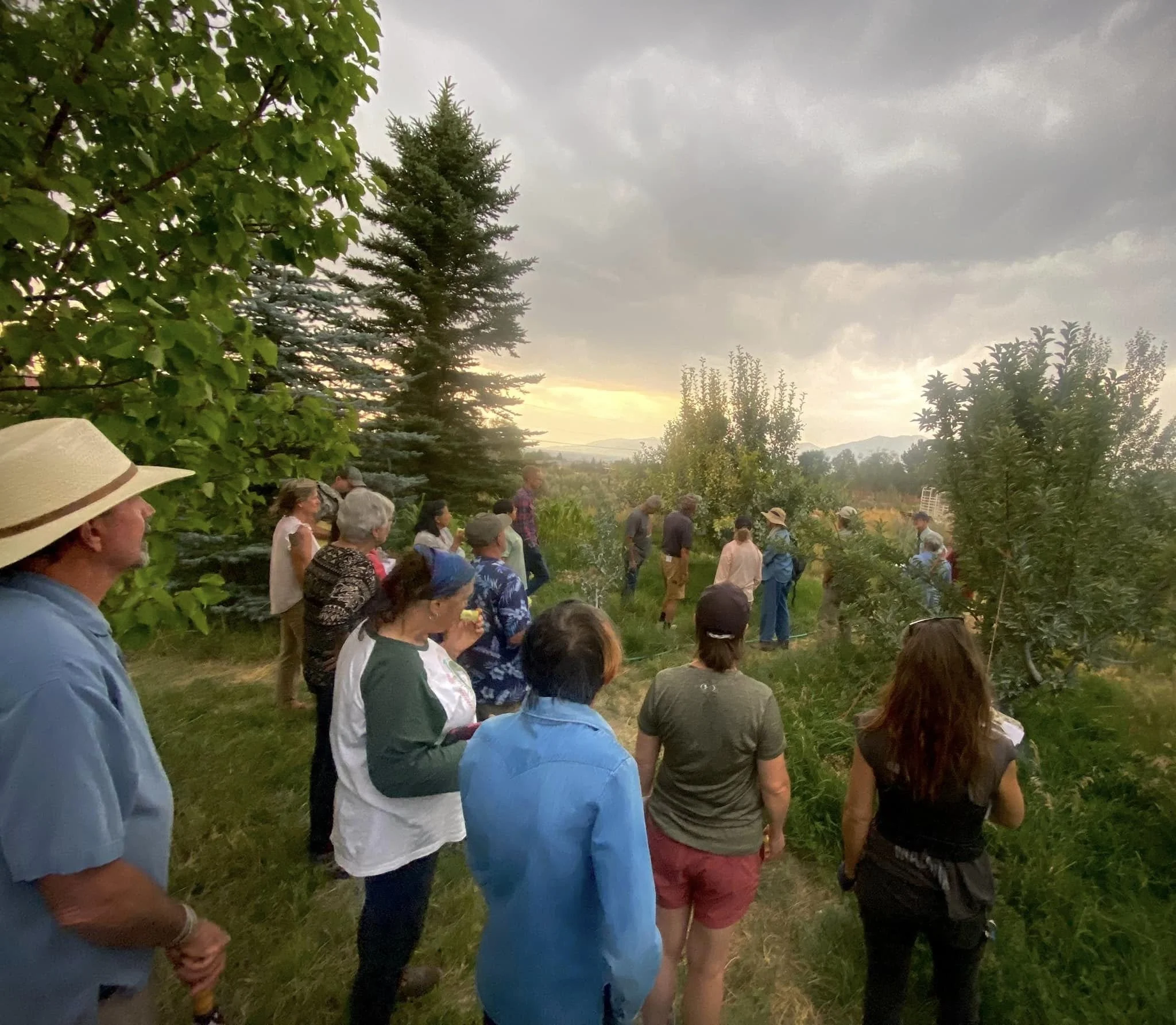 Orchard workshop image.jpg