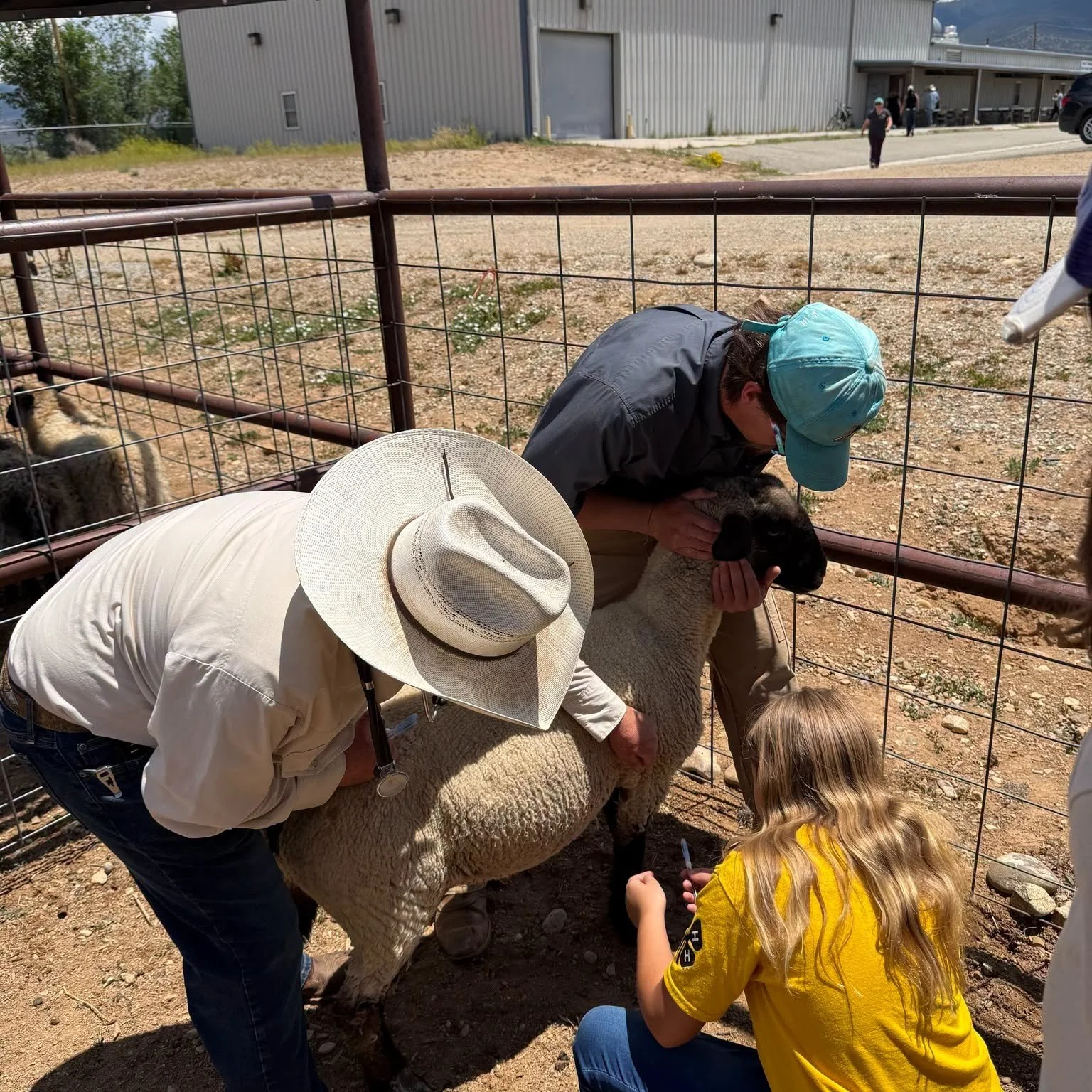 Livestock First Aid with Dr. Kuykendall
