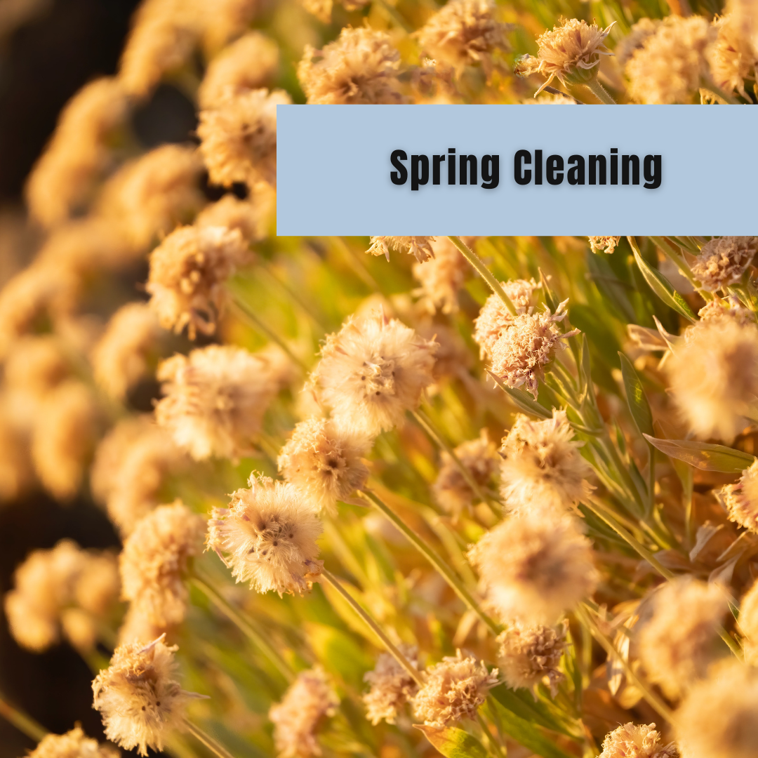 Spring Cleaning Must Do’s Inside and Out
