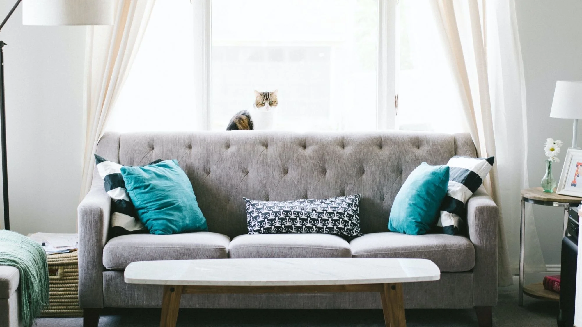 How to Protect Your Home and Not Break Your Budget 