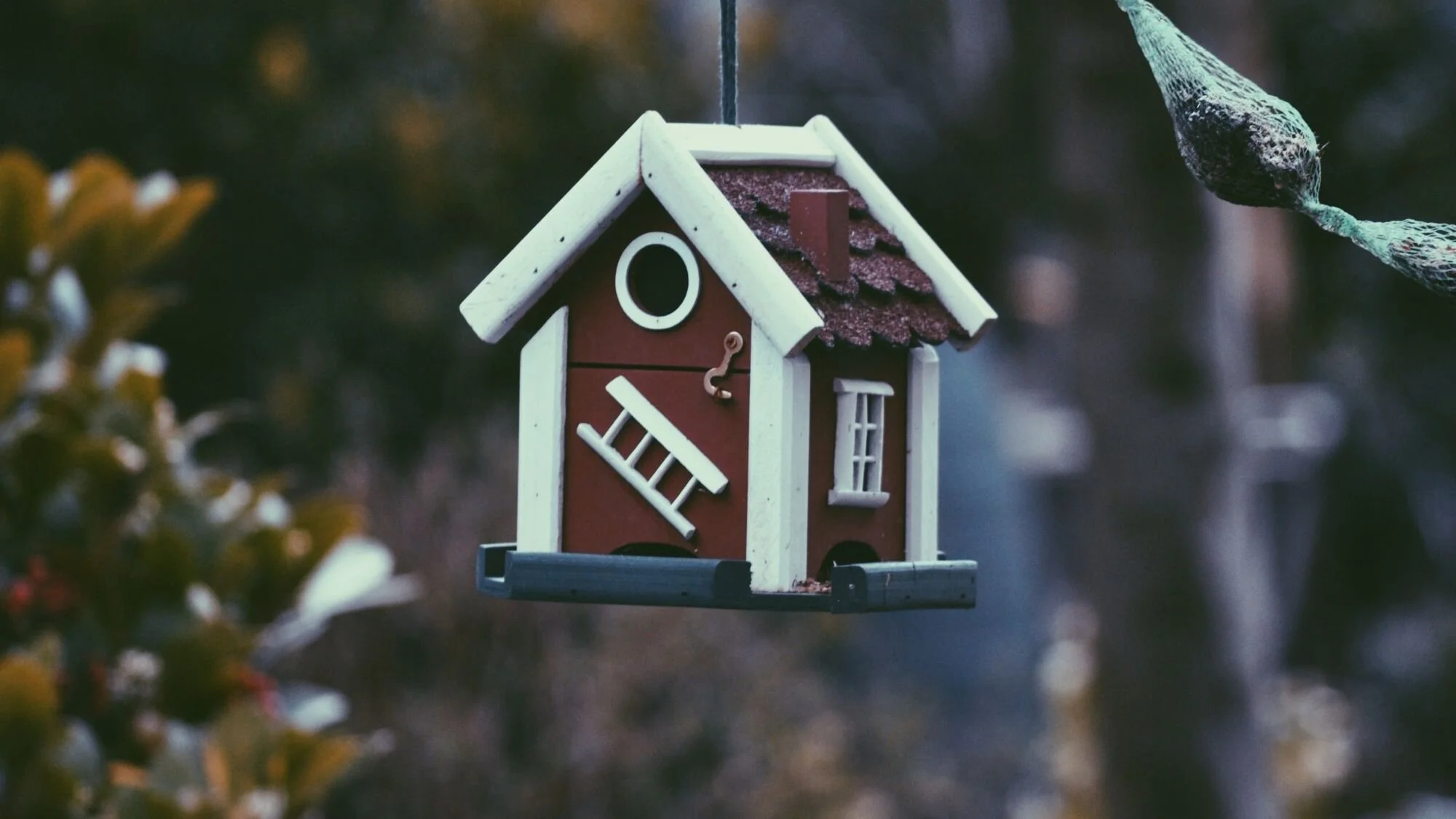 What Never To Do Before Buying a Home