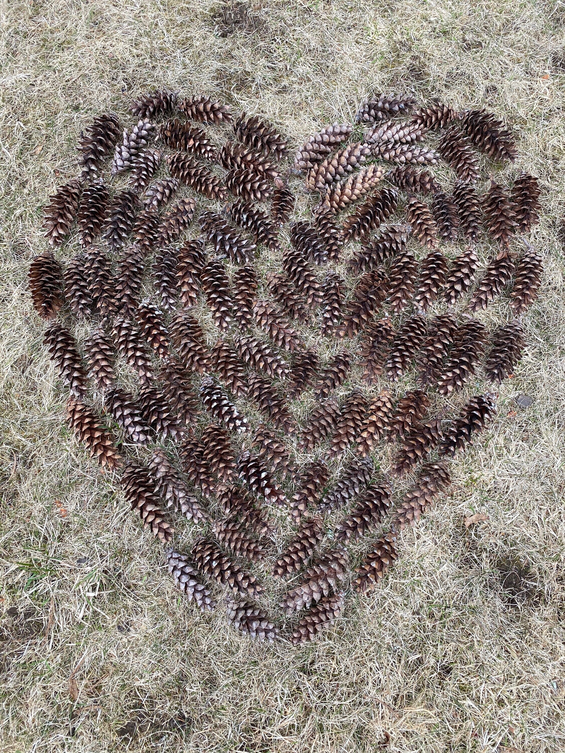 Annie's Pinecone Heart (Full)- Nature Notes.jpeg