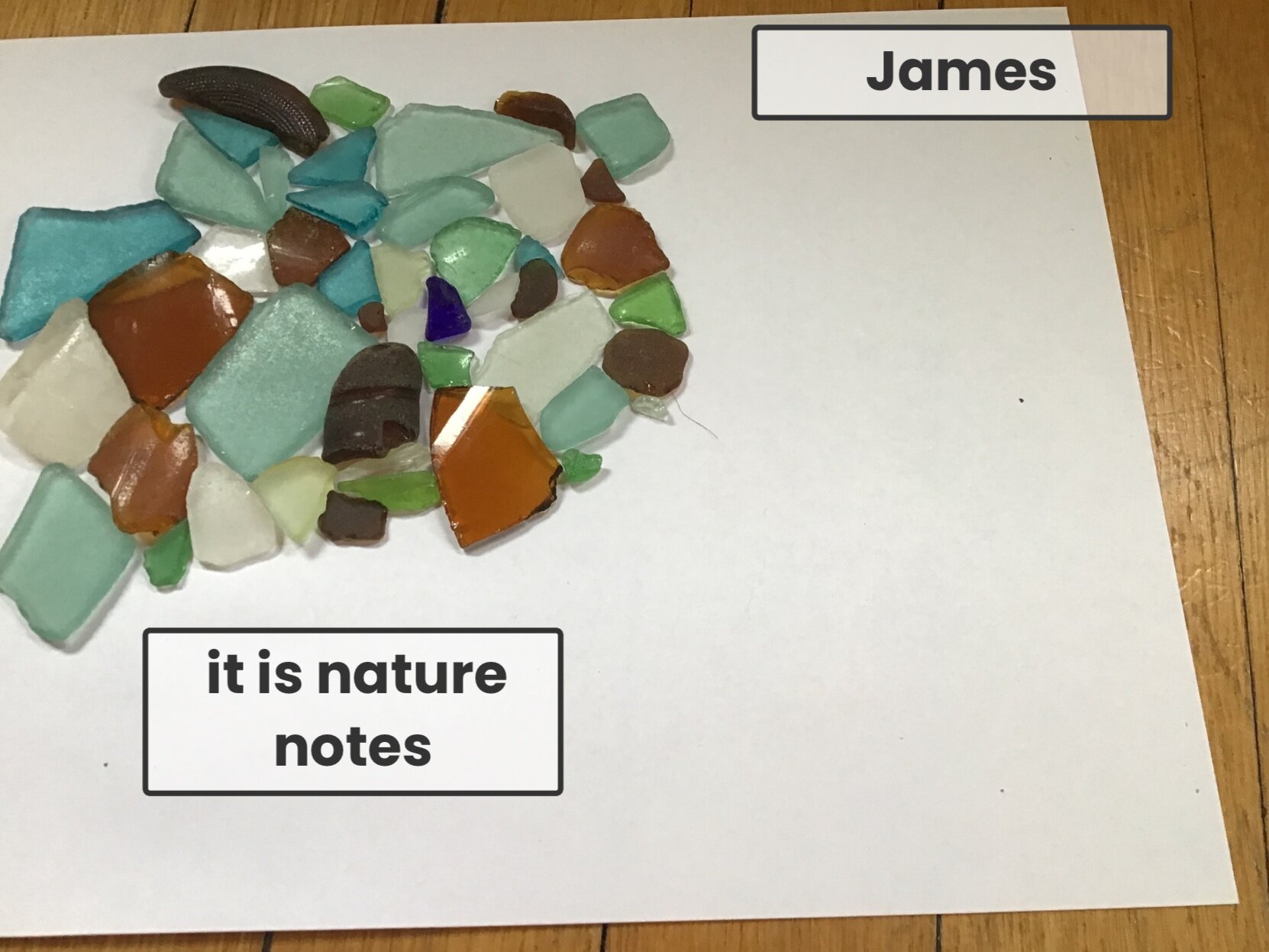 James Nature Notes.jpg
