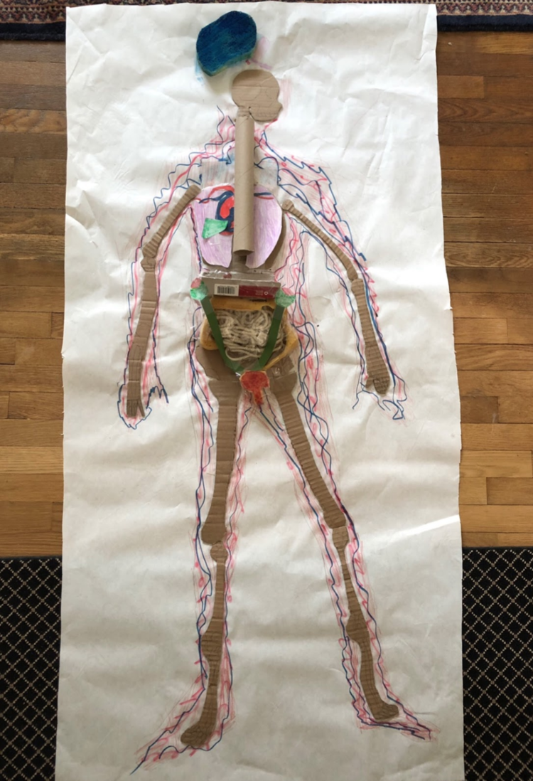 Bringing the human body to life — Glen Urquhart School