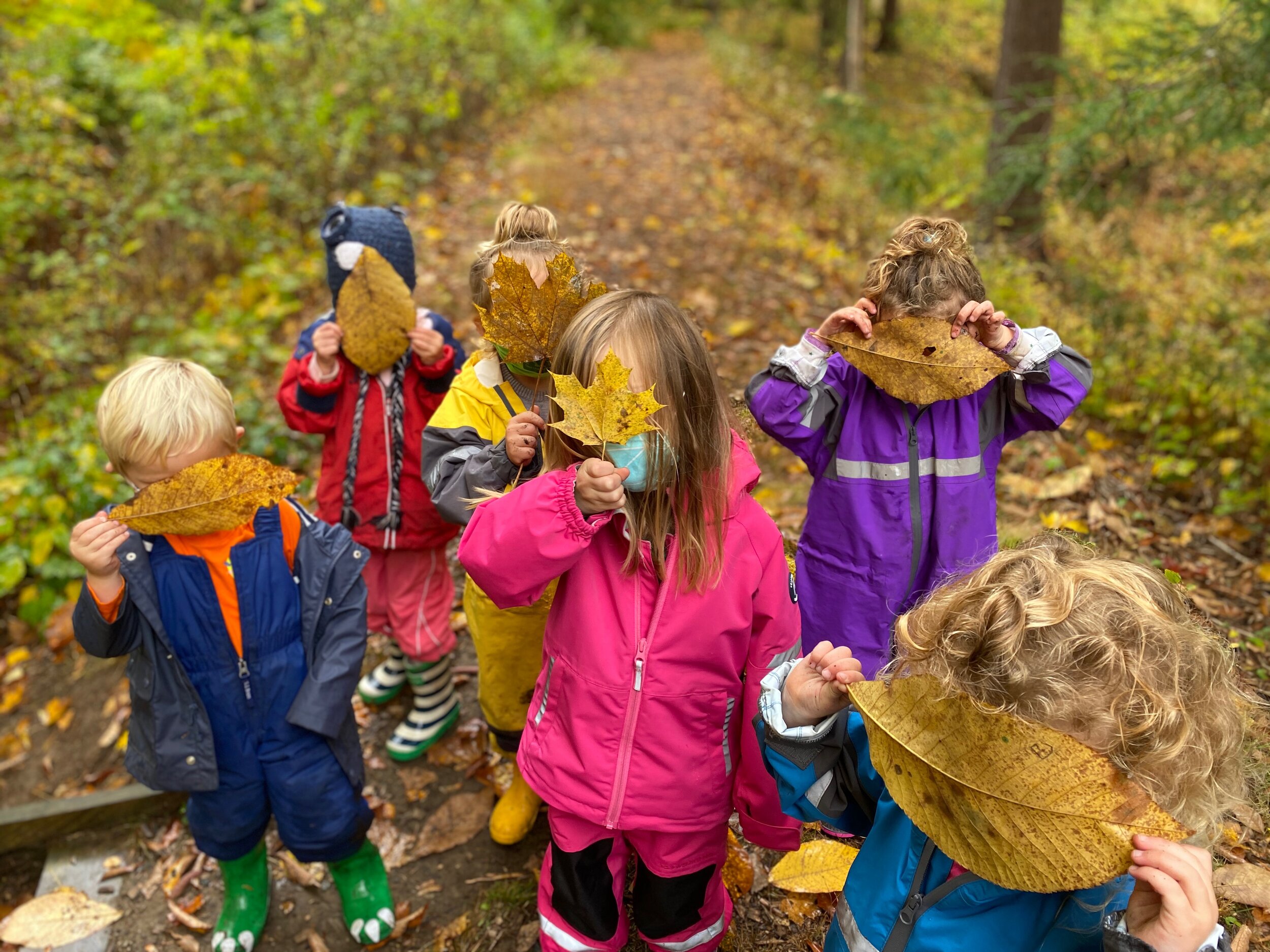 Pre-K explorers on the Nature Trail