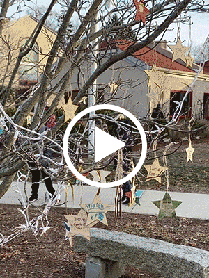 Solstice Assembly 2020