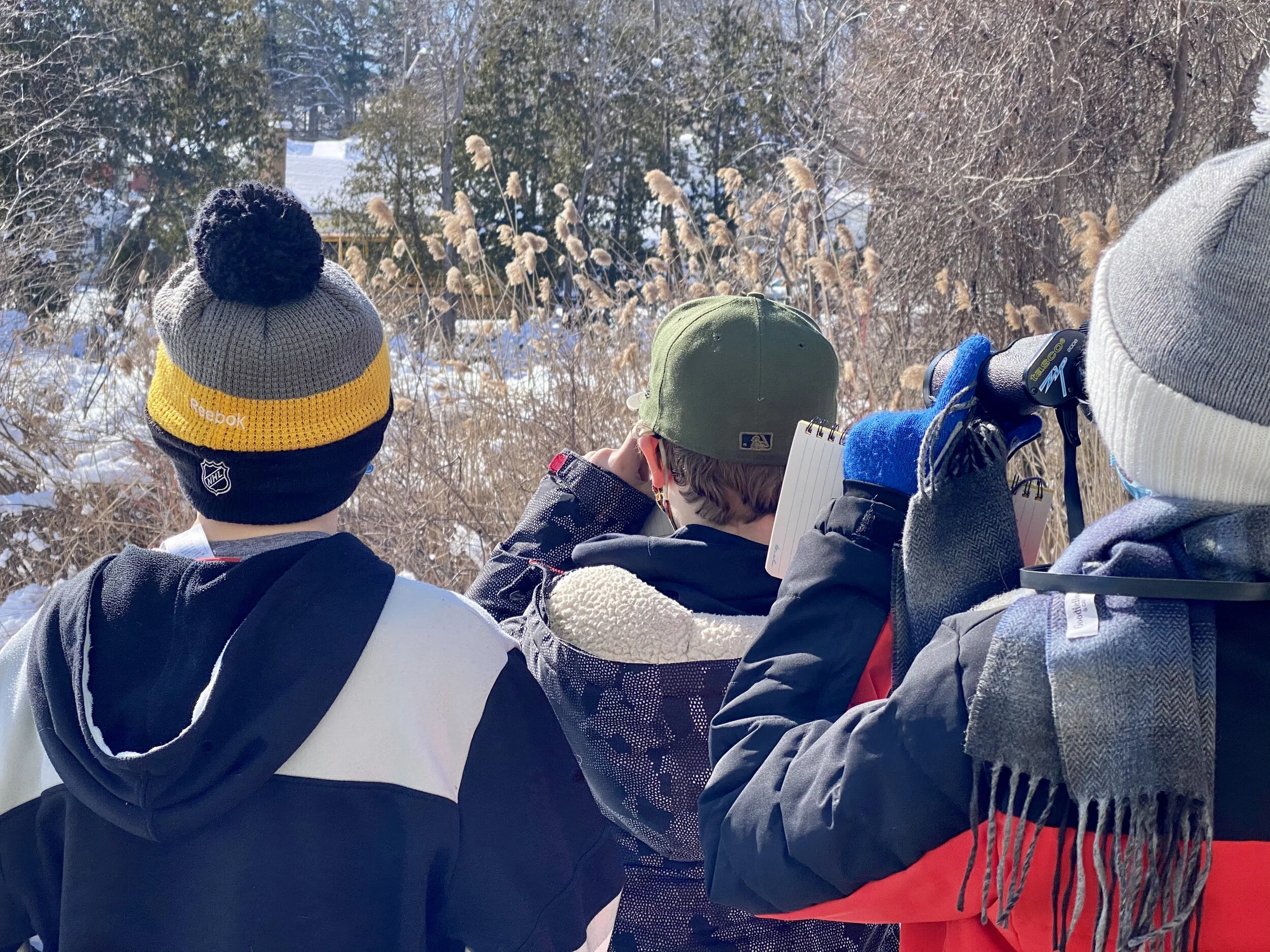 The Great Backyard Bird Count