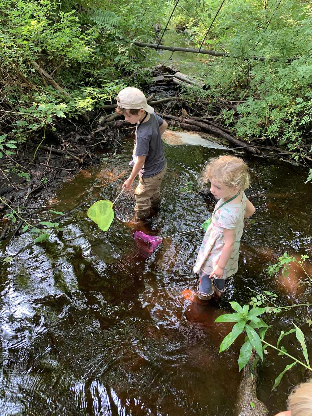 Tiny Trails Exploration!