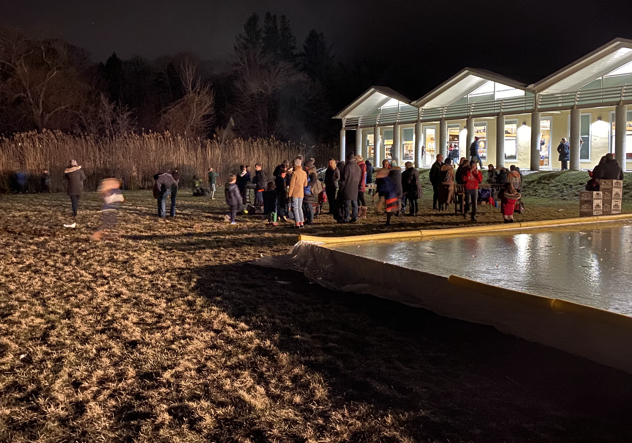 winterfest-skating-rink.png