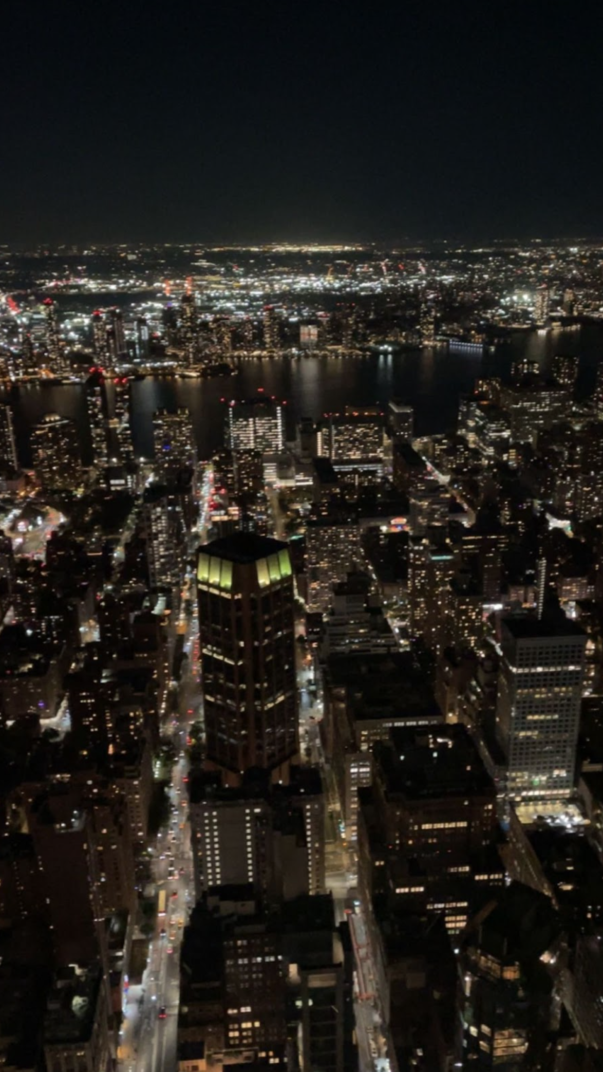 A bird's eye view of New York from the Empire State Building by Catherine P