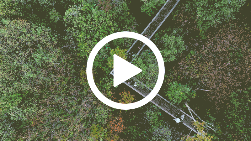 A Solstice Message from GUS