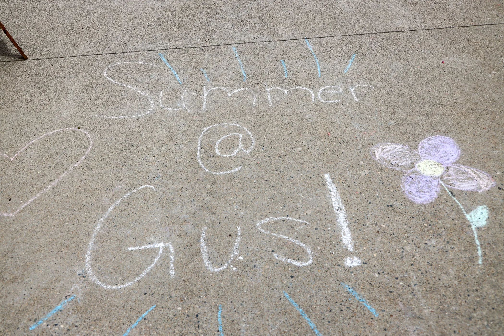 Authored and Illustrated By