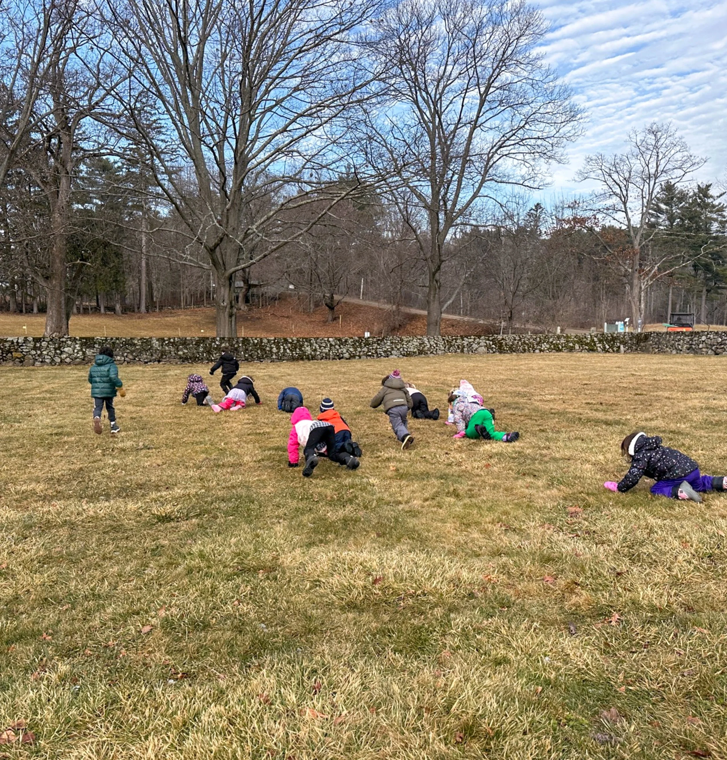 Screenshot 2026-01-15 at 3.01-3.jpg