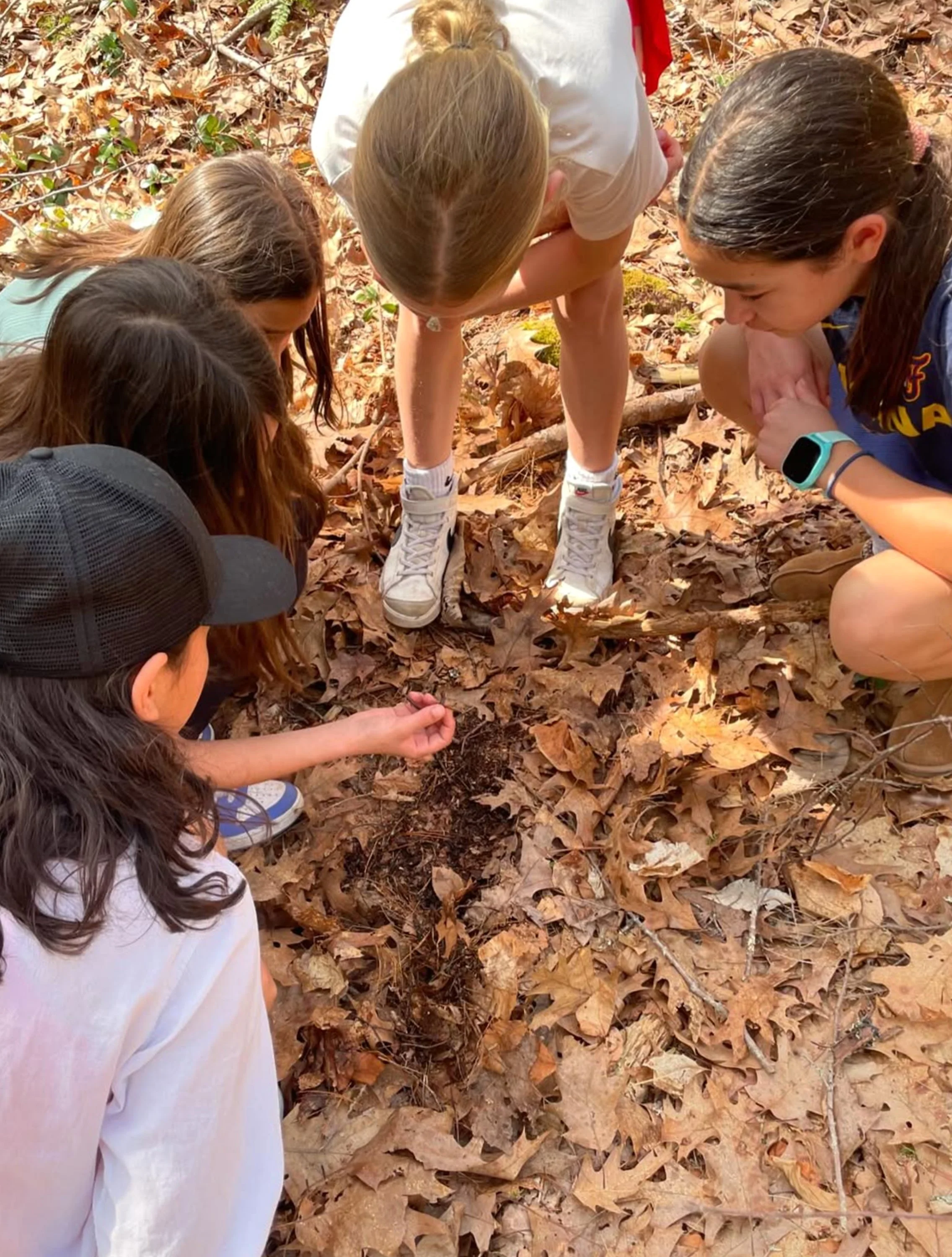 Screenshot 2026-04-16 at 12.32.52 PM.jpg