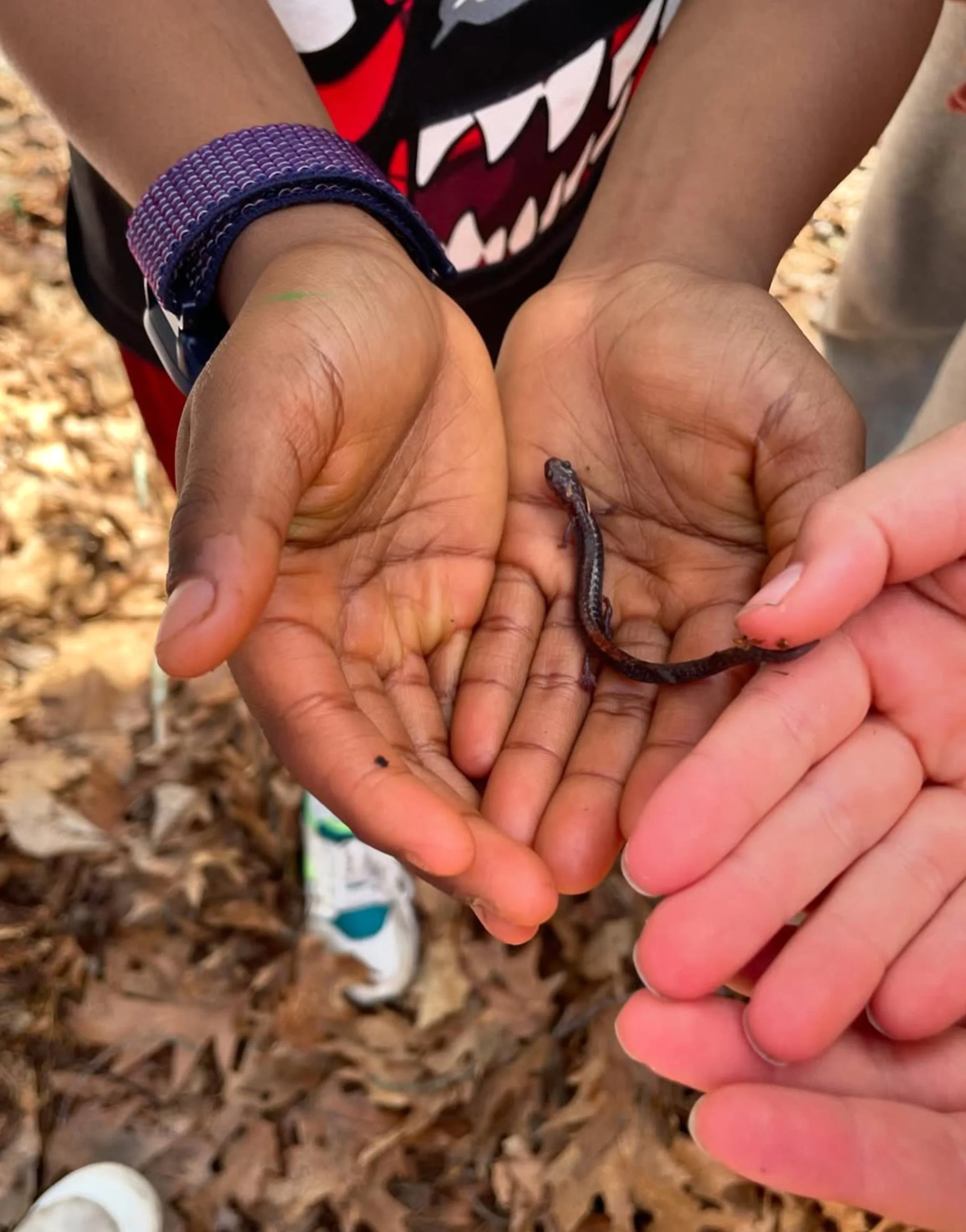 Screenshot 2026-04-16 at 12.33.08 PM.jpg