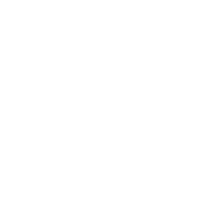 Maintain Digital Assets White.png