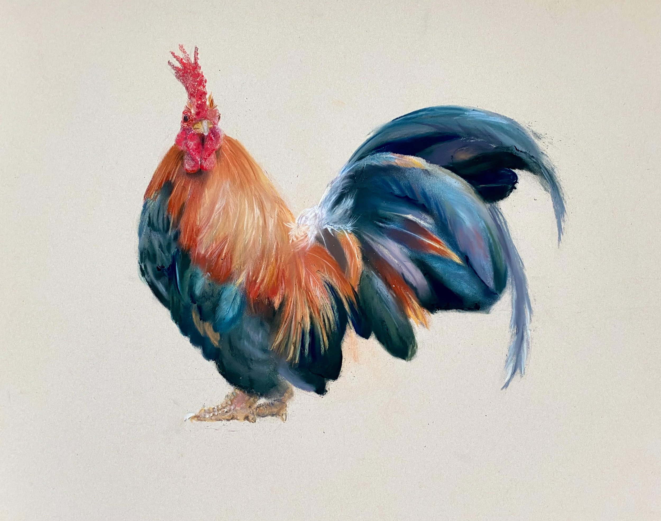       Rare Bird   pastel on paper  21x27 