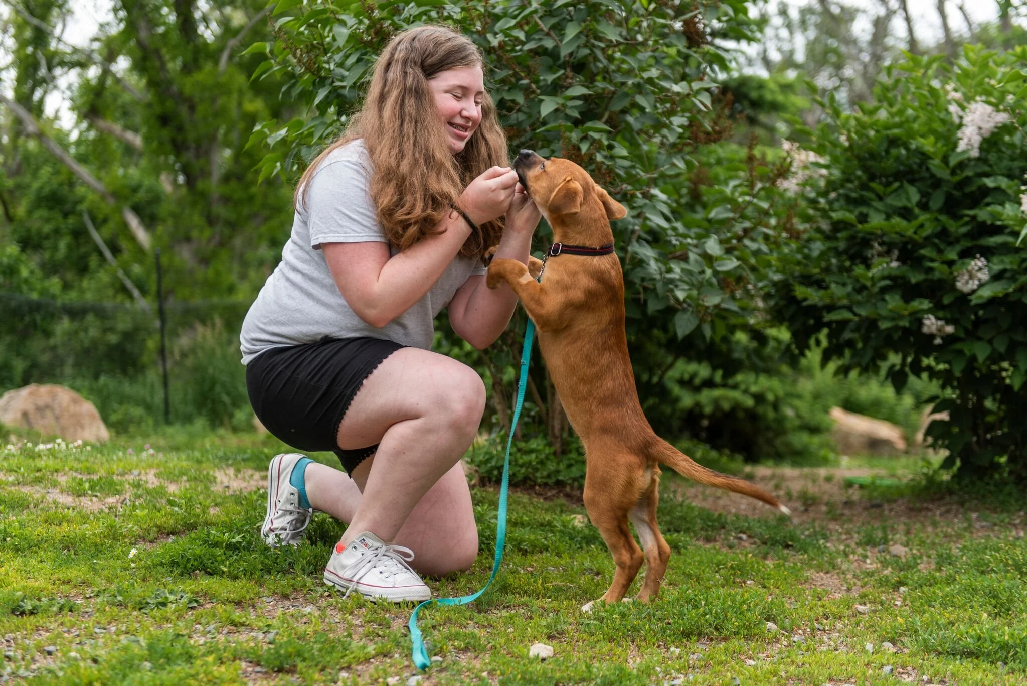 The PAWS Project
