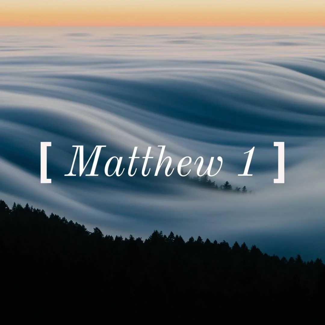 Matt 1.jpg