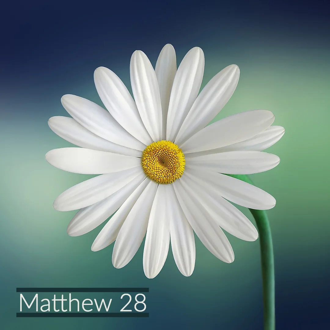 Matt 28.jpg