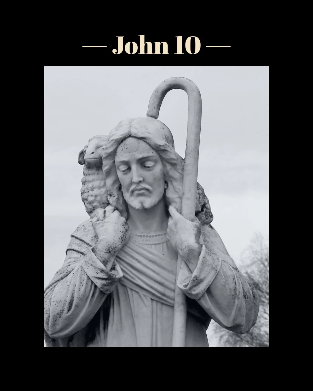 John 10.jpg