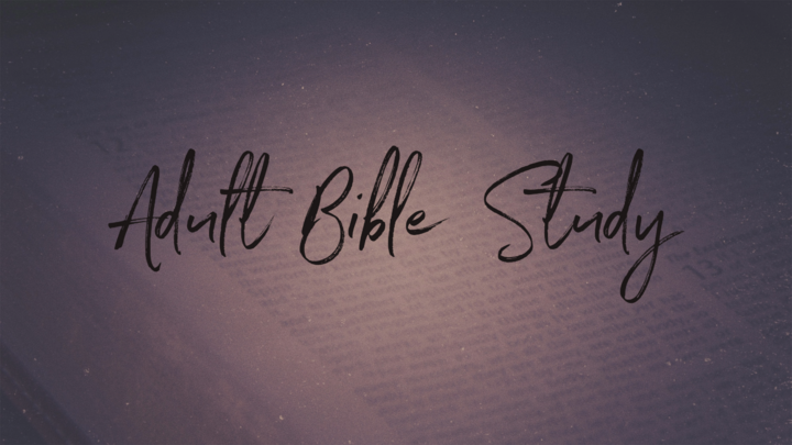 Adult Study Life Group With Dan Sater