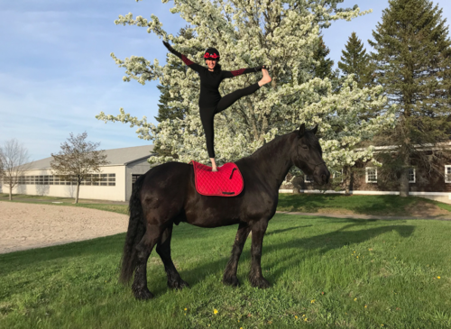 The Yoga Loft Storybook: Corine Barone