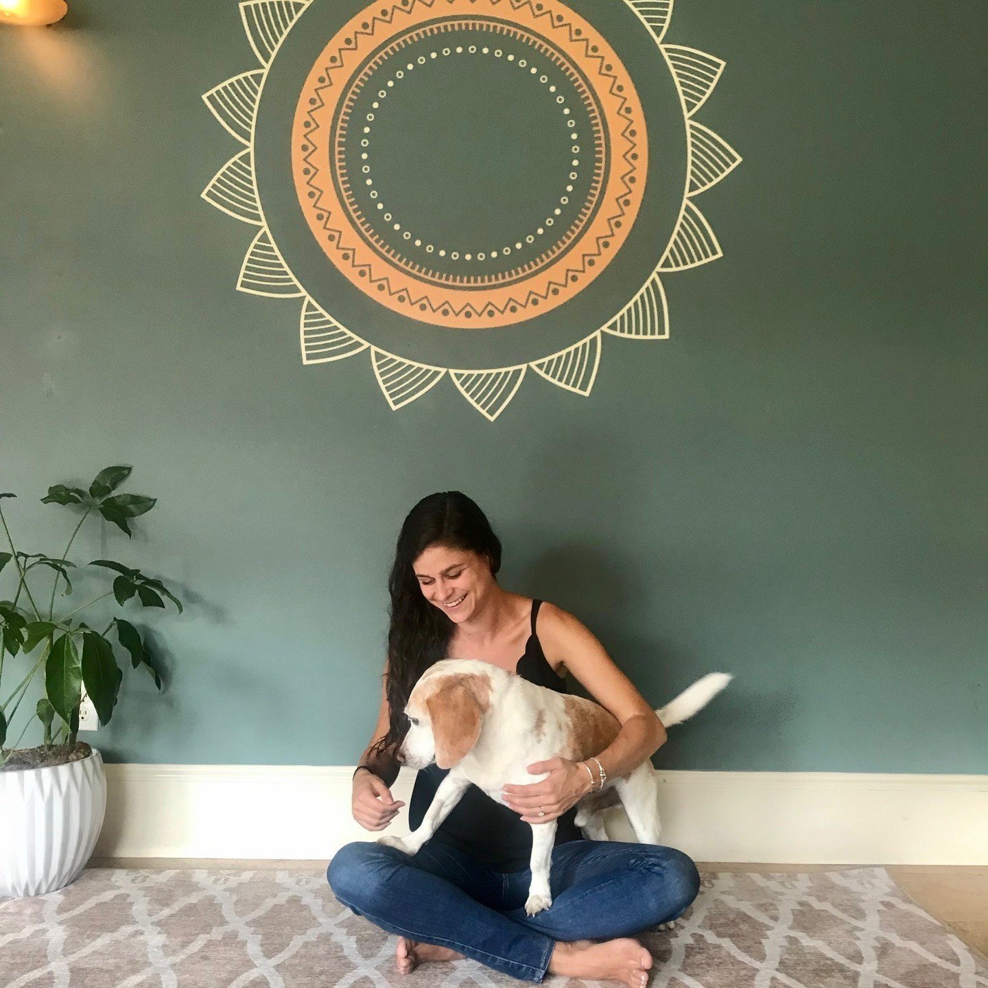 Dear Yoga Loft Community,⁠
⁠
It is with mixed emotions that we announce the departure of our remarkable team member, Ellory, from her role at The Yoga Loft.⁠
⁠
Ellory started at the studio in 2017 after completing her 200-hour teacher training with L