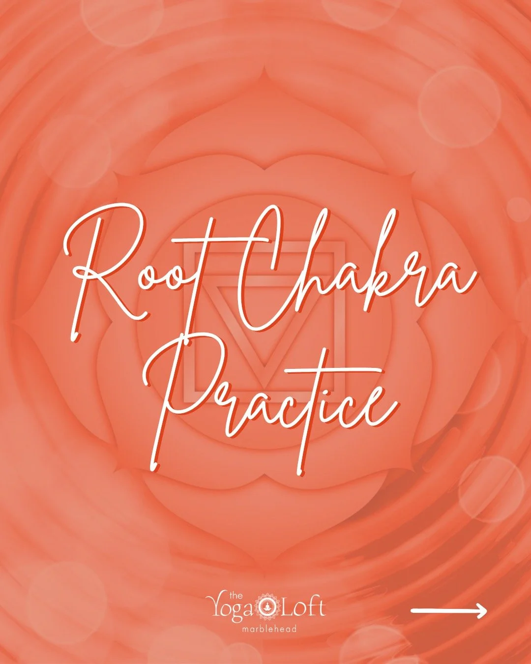 🌈The Seven Chakras: A Restorative Series with Gurdeep🌈

Root Chakra┃Saturday, October 4┃3:30 - 5:00 PM

Your chakras are an important aspect of the subtle body, the more etheric layer of the Being. Gaining an awareness of them empowers you to under