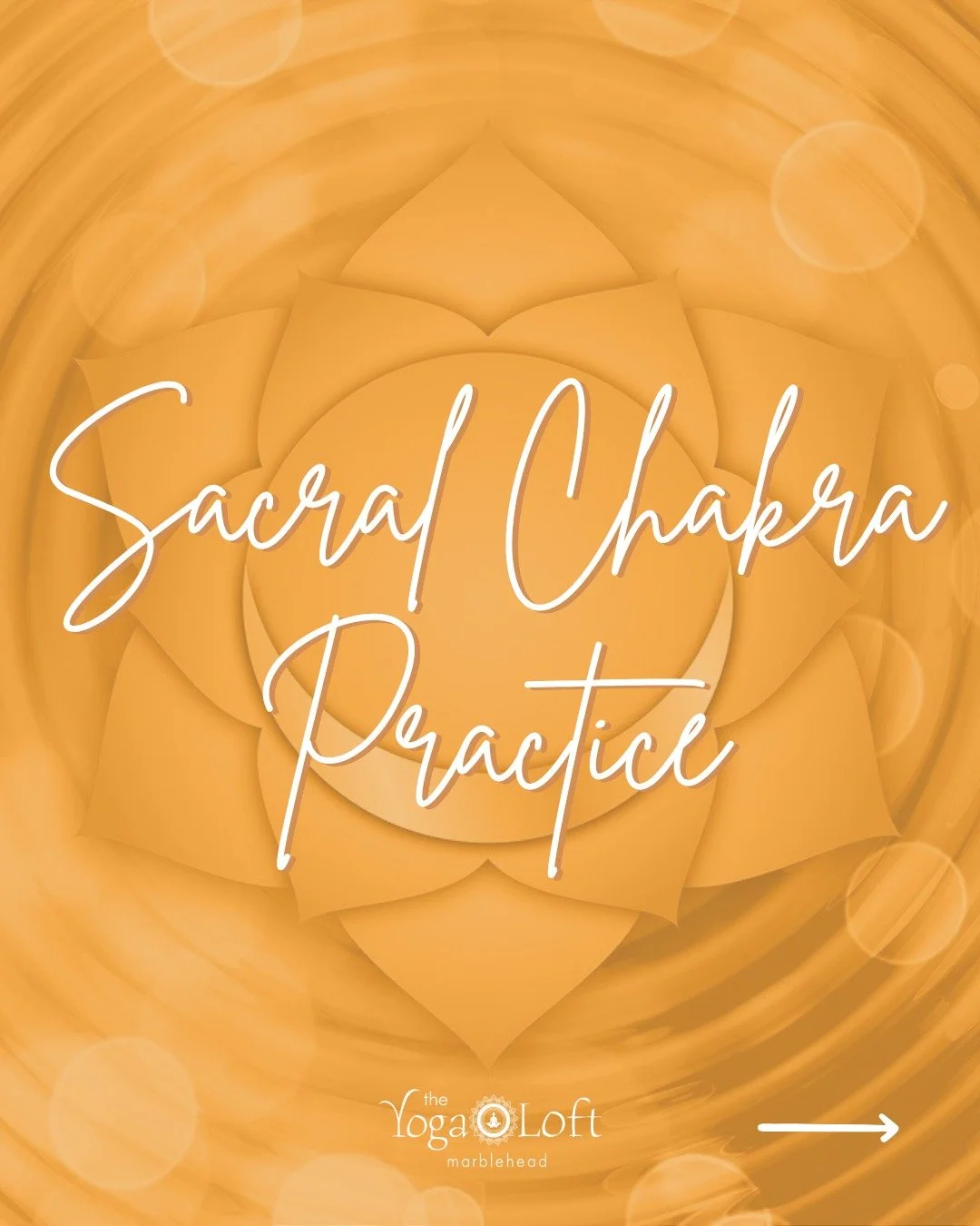 🌈The Seven Chakras: A Restorative Series with Gurdeep🌈

Sacral Chakra┃Saturday, November 15┃3:30 - 5:00 PM

Your chakras are an important aspect of the subtle body, the more etheric layer of the Being. Gaining an awareness of them empowers you to u