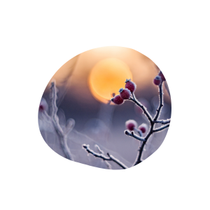 EnTrance: Dreaming with the Unseen: A Solstice Ceremony and Mini Retreat