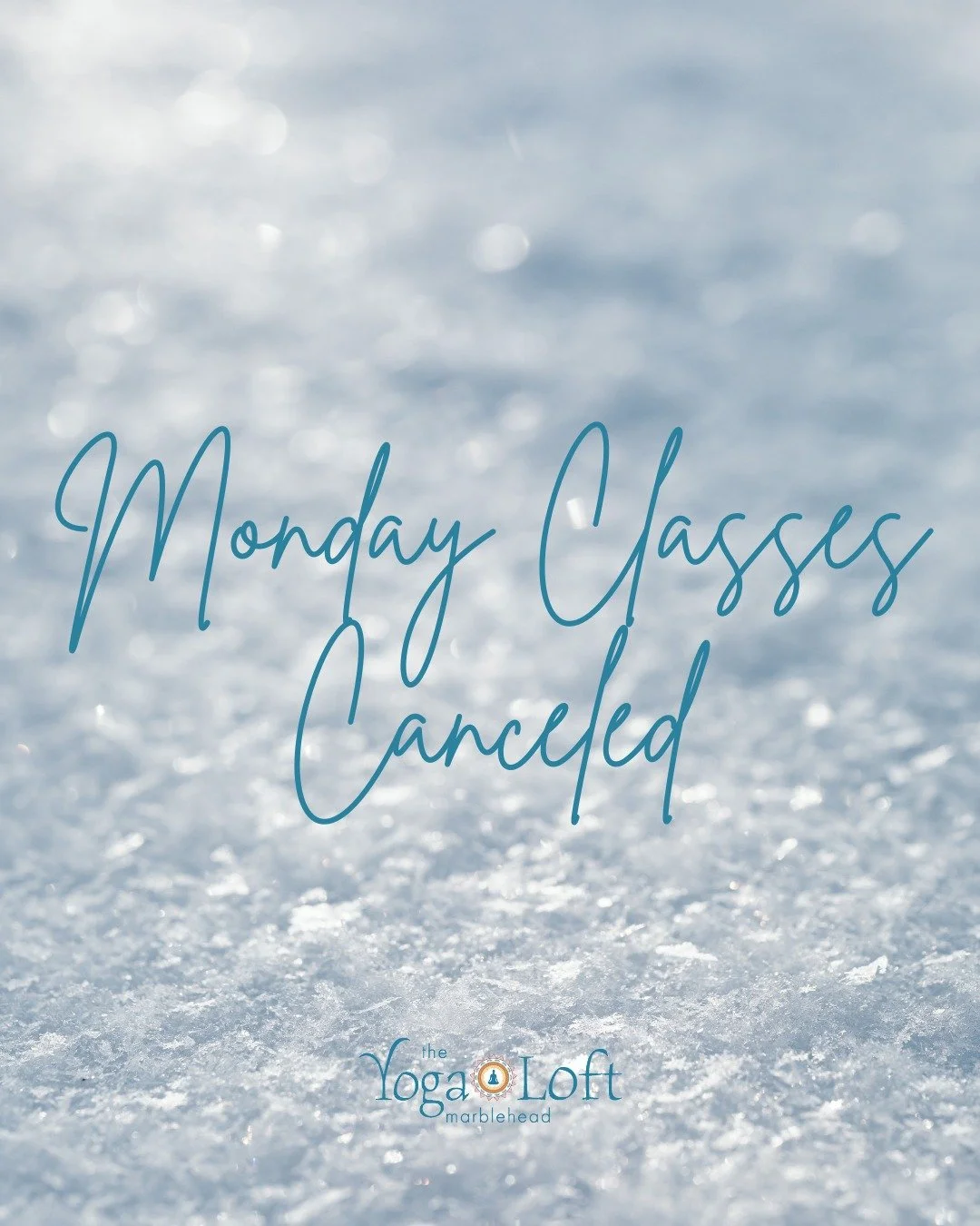 Due to the snow storm, we will not be holding classes on Monday, January 26.

❄️ Stay safe and warm ❄️

Check out your next chance to join us on the mat: https://www.theyogaloftmarblehead.com/sign-up