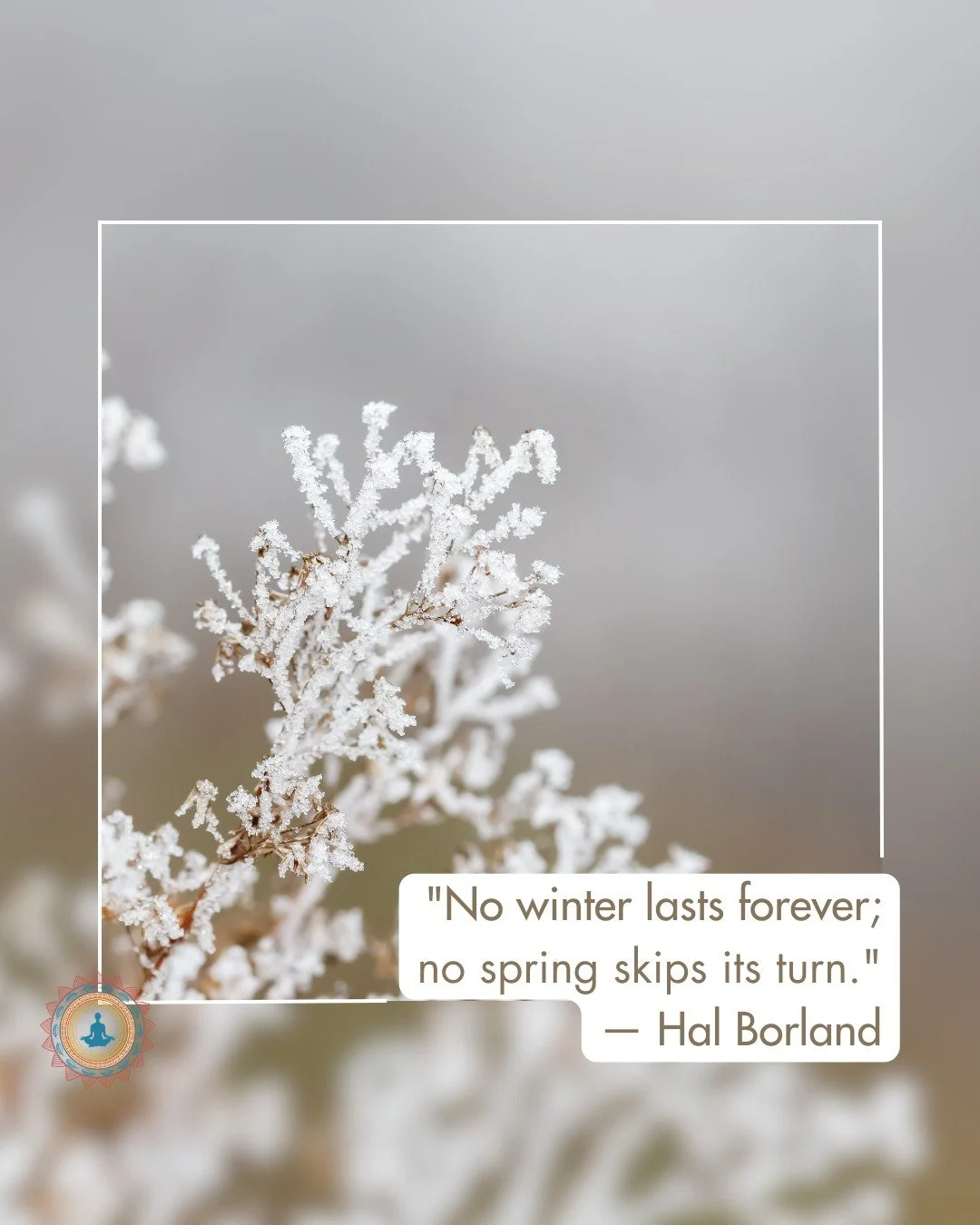 Spring reminds us that renewal is part of nature&rsquo;s rhythm, and we are part of that rhythm too.

After the slower, heavier energy of winter, this coming season invites us to move, breathe deeper, and clear what feels stagnant in both body and mi