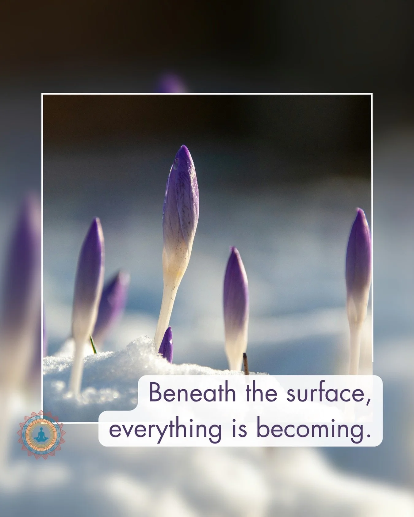 Even when it feels slow, something is always unfolding beneath the surface.

Spring reminds us that growth doesn&rsquo;t rush, it unfolds in its own time.

Through intentional movement and breath, we create space for our own quiet becoming, both on a