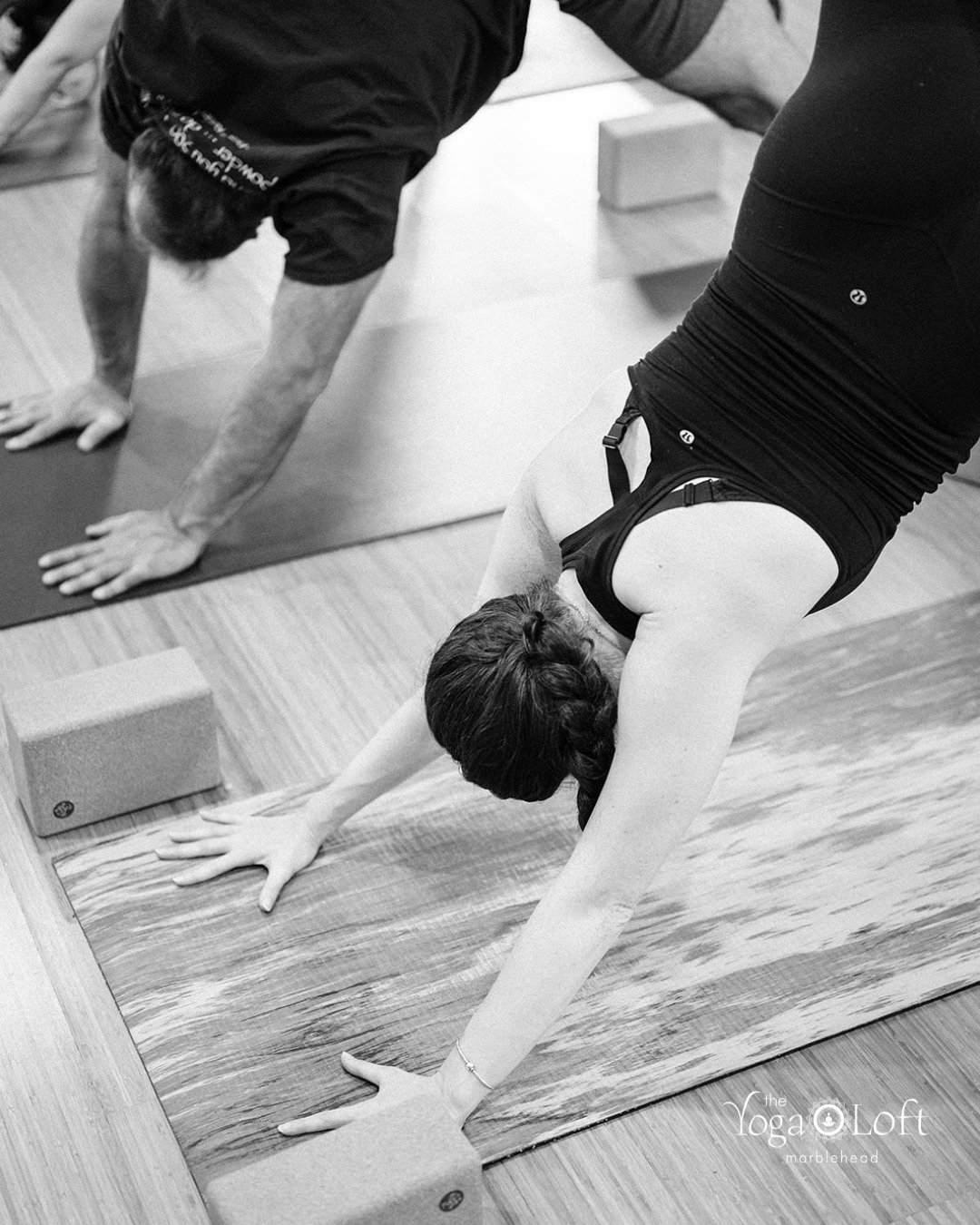 This Weekend at the studio ✨

Friday
8:15 AM - Pilates Yoga Flow with Jen D.
9:45 AM - Heated Power Flow with Melissa
4:30 PM - Vinyasa with Jennifer

Saturday
8:15 AM - Heated Power Flow with Kristan
10:00 AM - Essentials with Gurdeep

Sunday
8:15 A