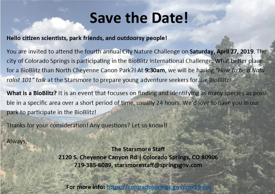 City Nature Challenge Bio Blitz