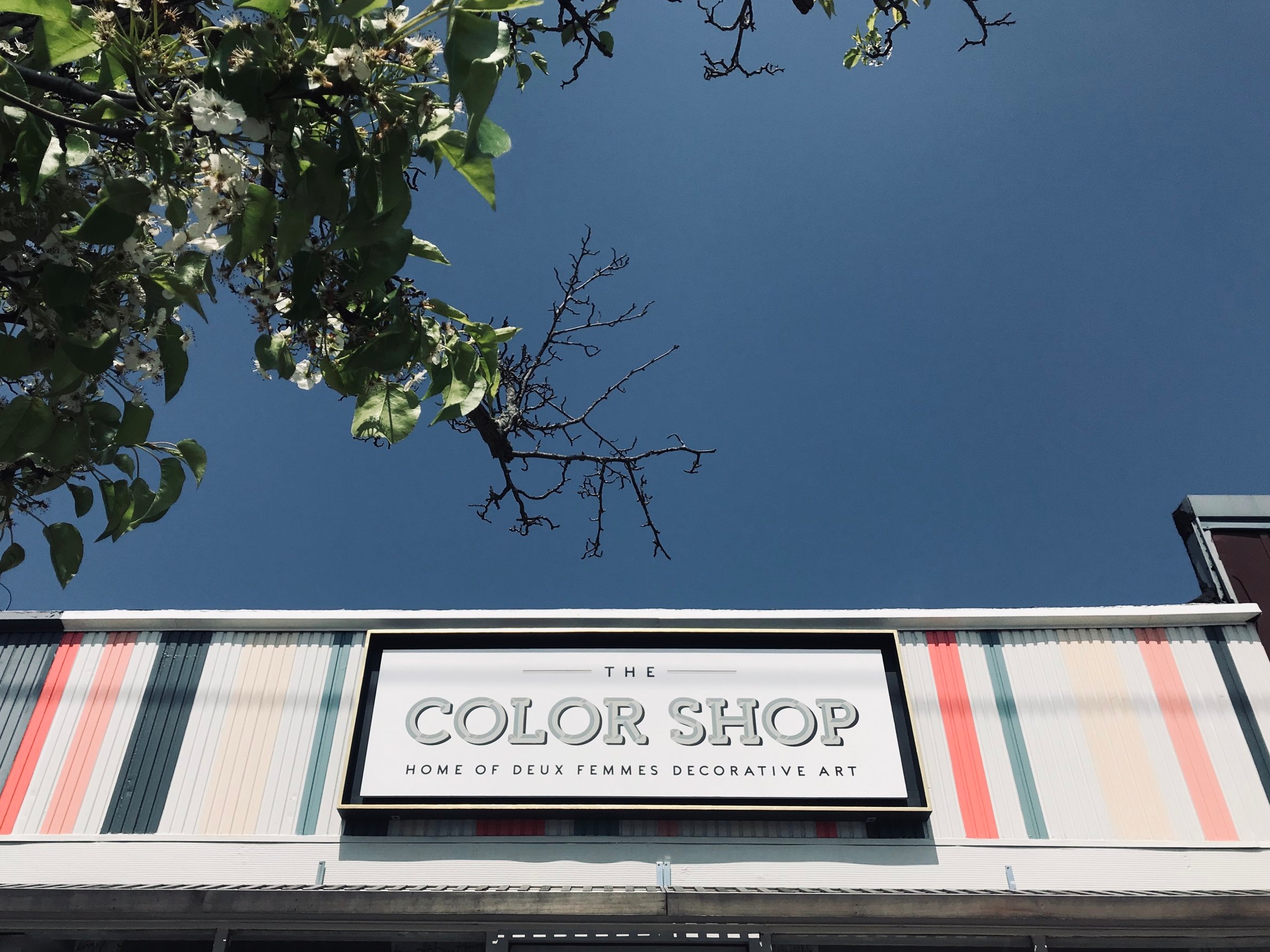 tcs+storefront+2.jpg
