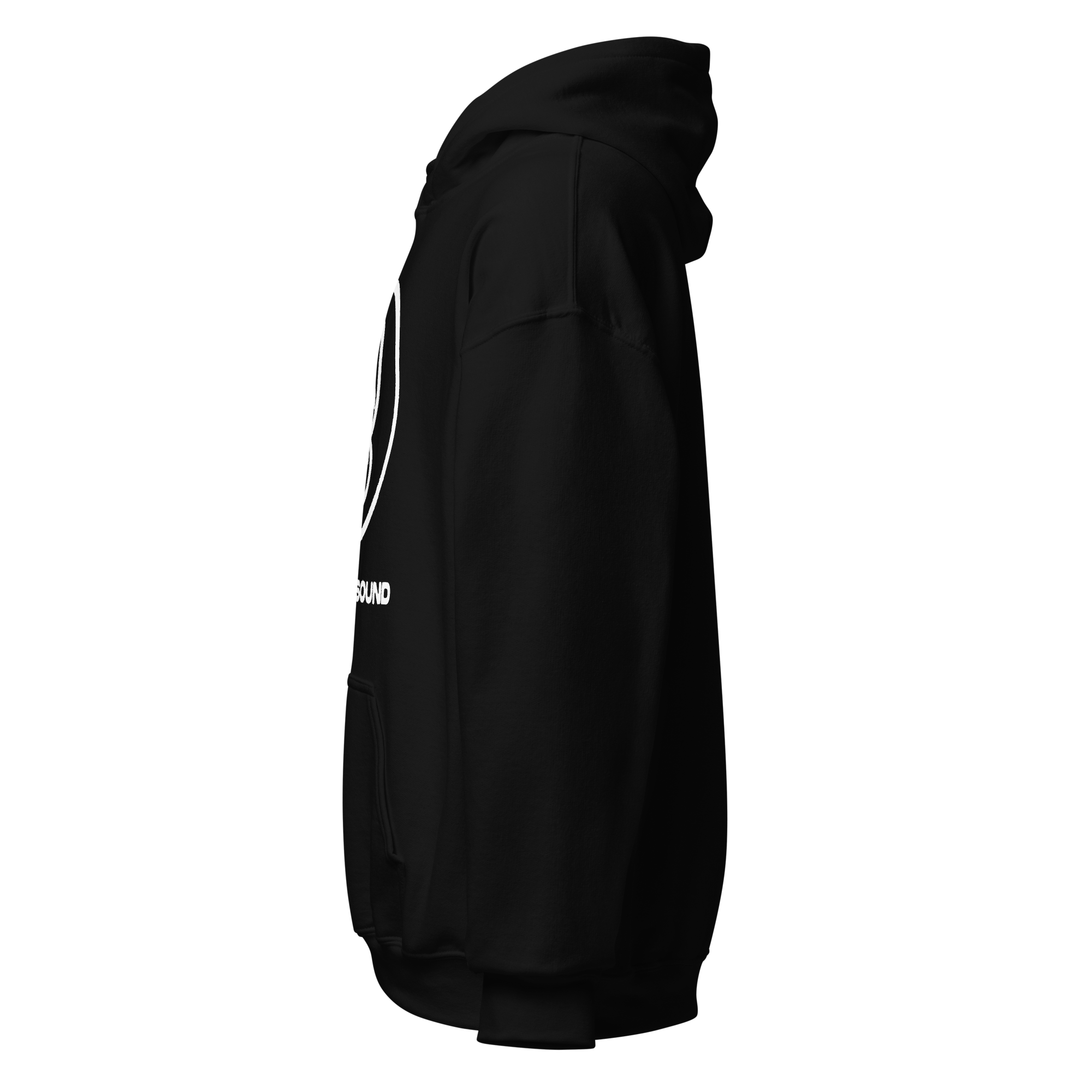 unisex-heavy-blend-hoodie-black-left-69bda1bdb1ad2.png