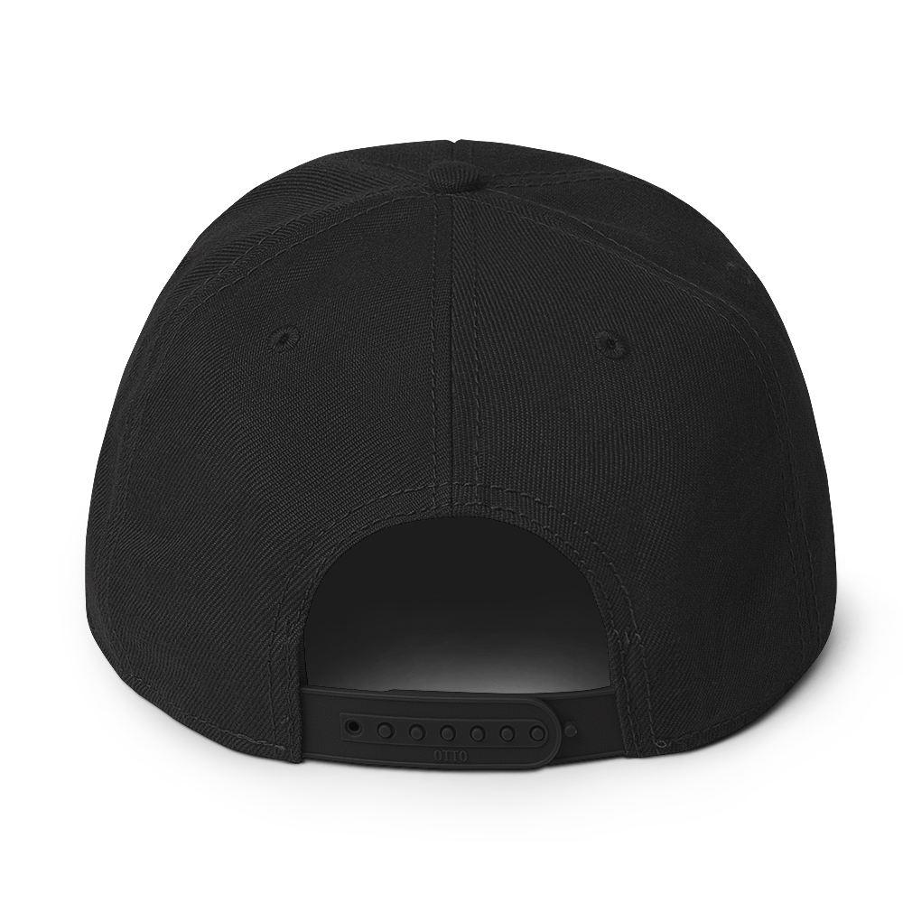 snapback-black-back-6a03f3614b04a.png
