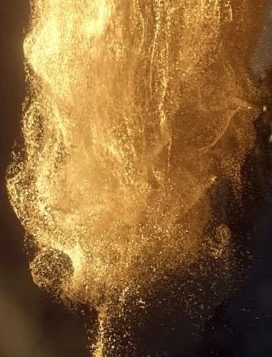 Cultivating Radiance Half Day Retreat - Austin TX