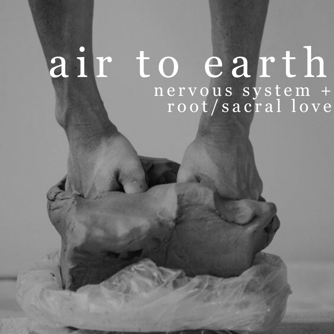 air to earth nervous system + rootsacral love.png