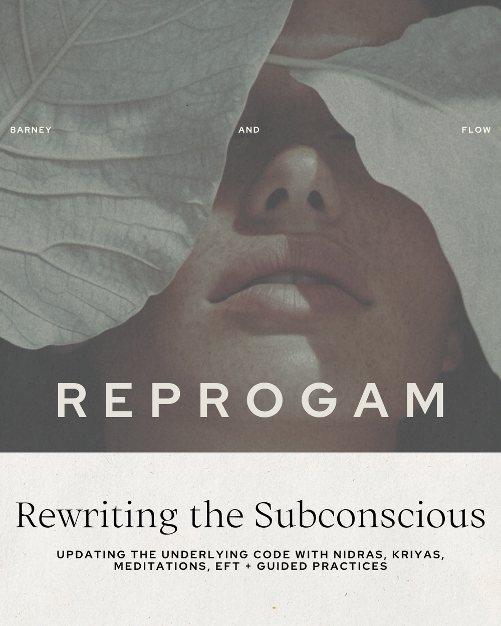 reprogram-the-subconscious.png.webp