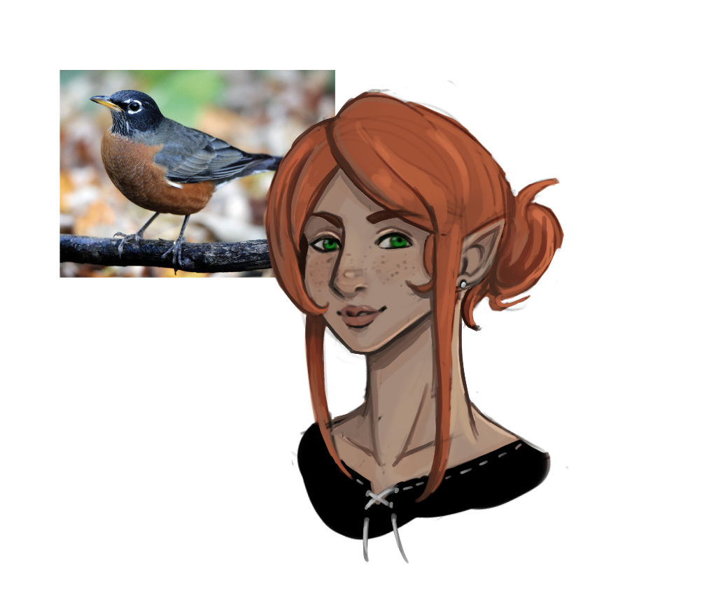Robin