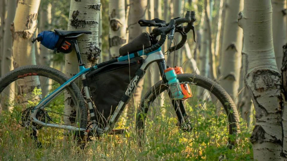 salsa bike.jpg