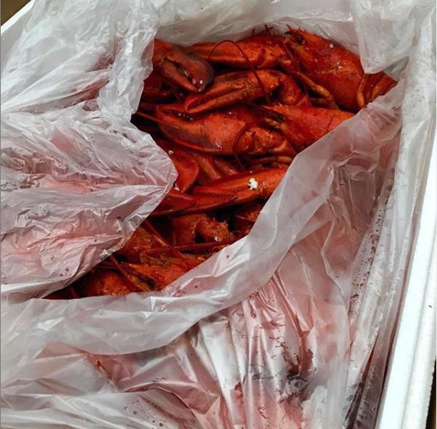 Happy Day! Let&rsquo;s eat lobster.
Have you booked your bake yet? 🦞
.
.
 #eatlobster #clambakes #steak #fish #appetizers #wedoitall #cateredclambake #clambakecatering #deliveredclambake #caterer #backsidebakes #haveyoubookedyourbake