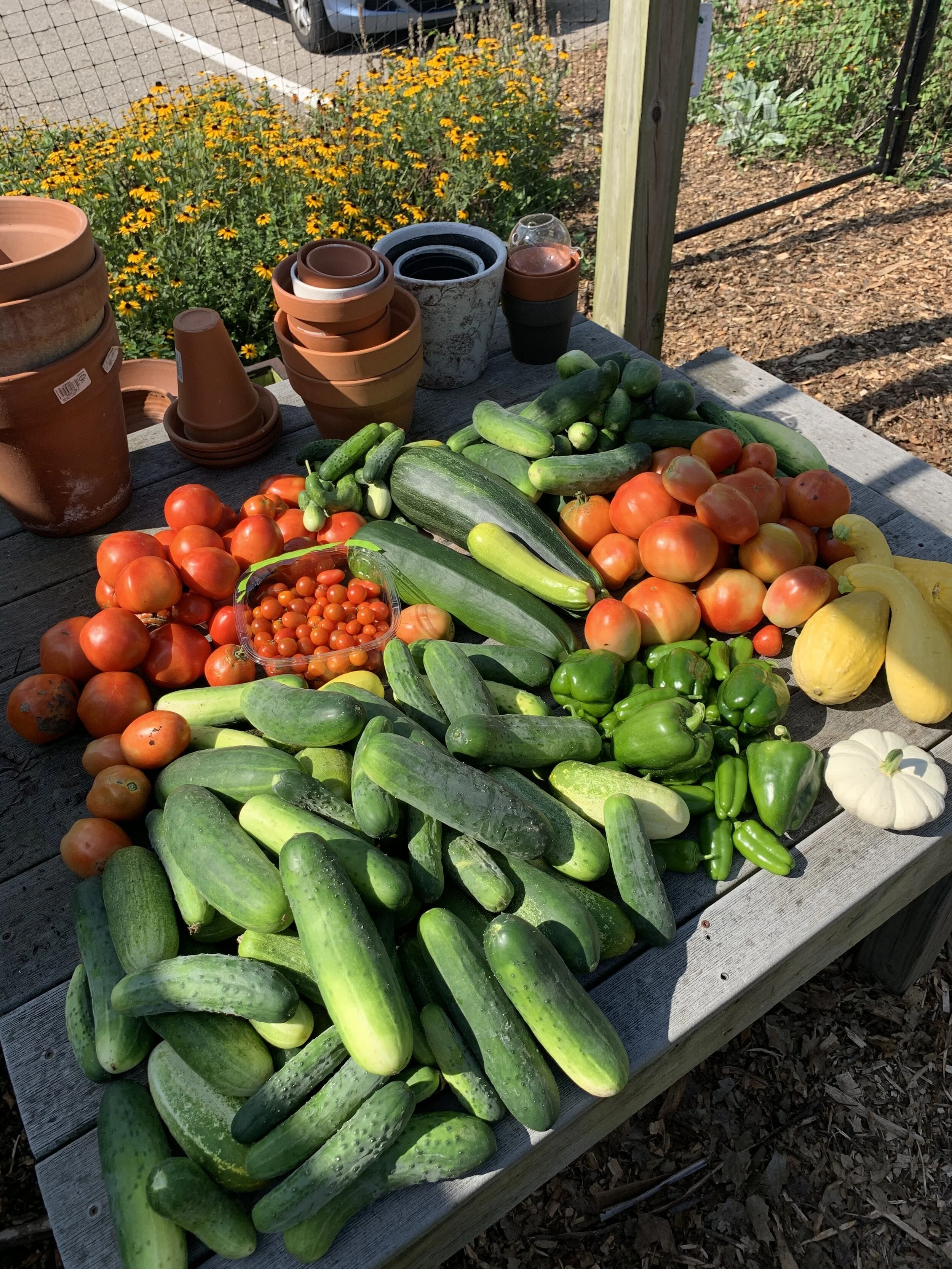 Fresh produce ready for donation 2020.jpeg