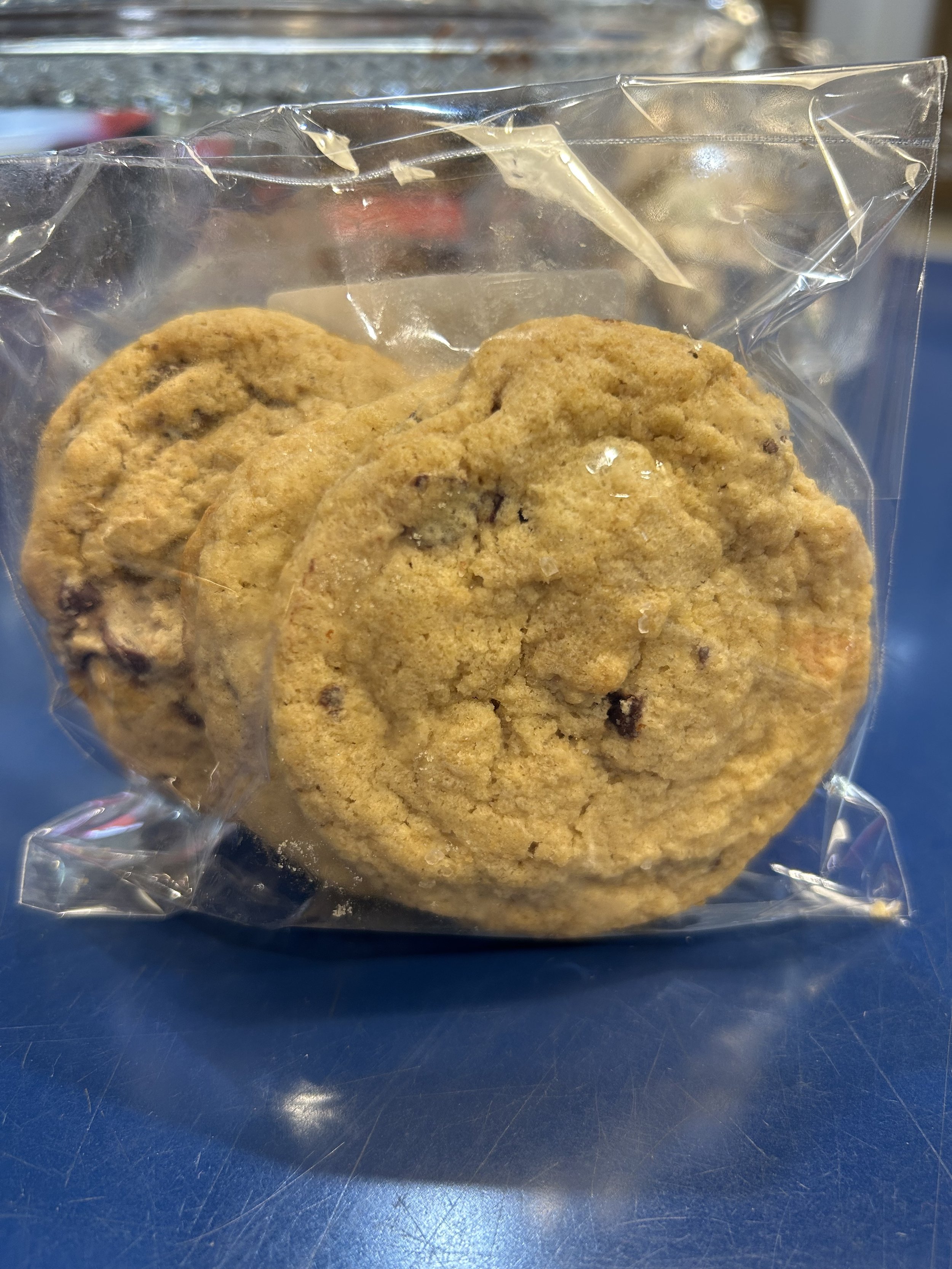 ChocolateChip.jpg