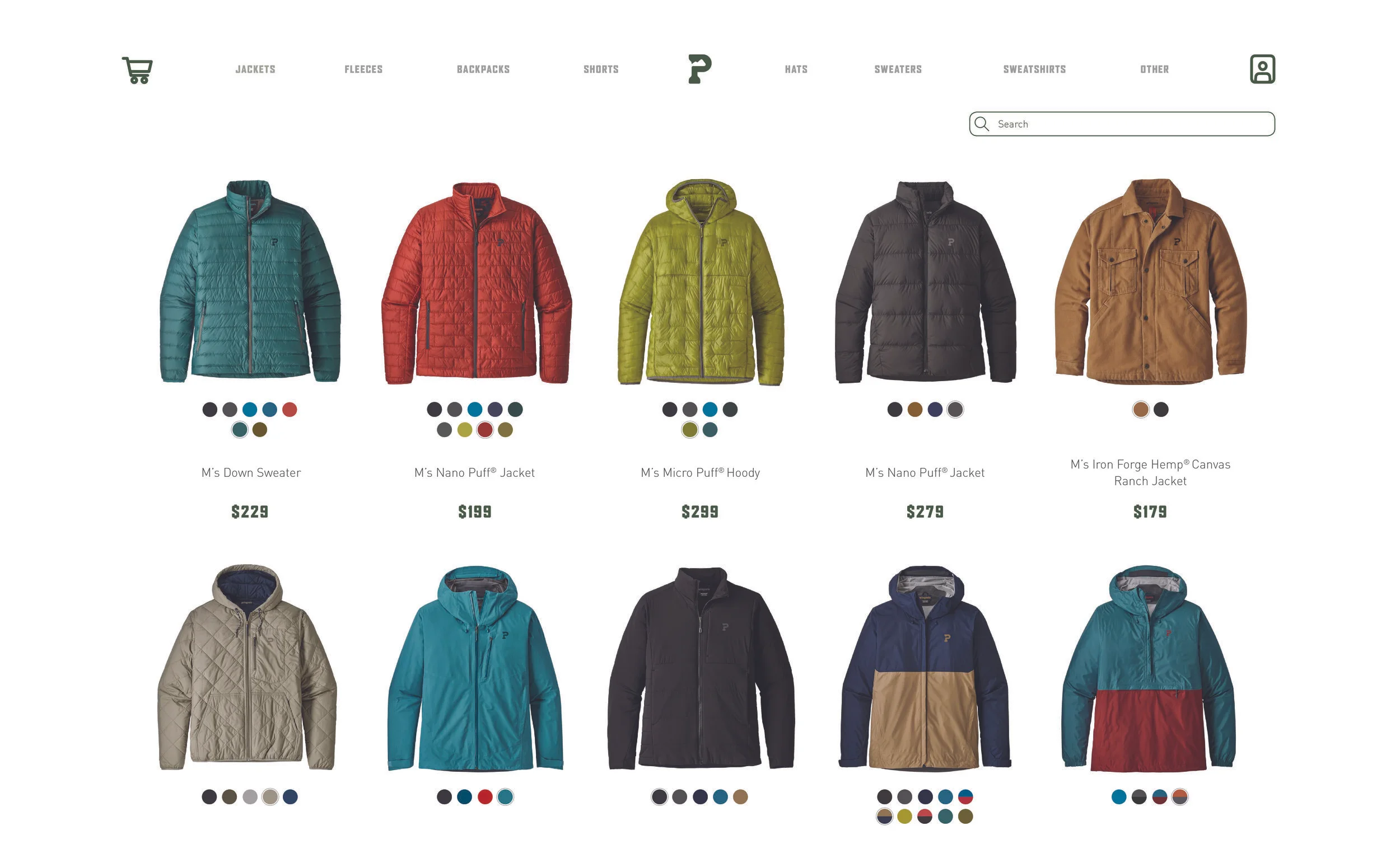 Patagonia Website2.jpg